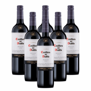 CASILLERO DIABLO MERLOT SAVEANDGO 1