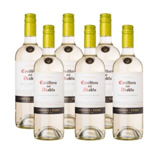 CASILLERO DIABLO SAUV BLANC 6X75CL