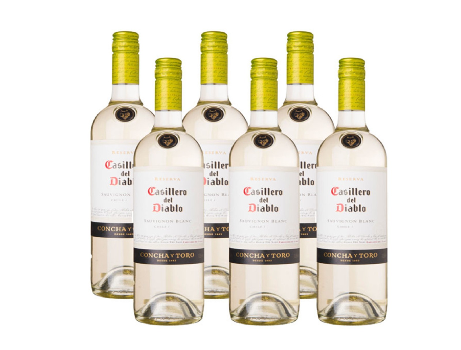 CASILLERO DIABLO SAUV BLANC 6X75CL