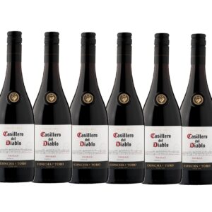 CASILLERO DIABLO SHIRAZ 6X75CL