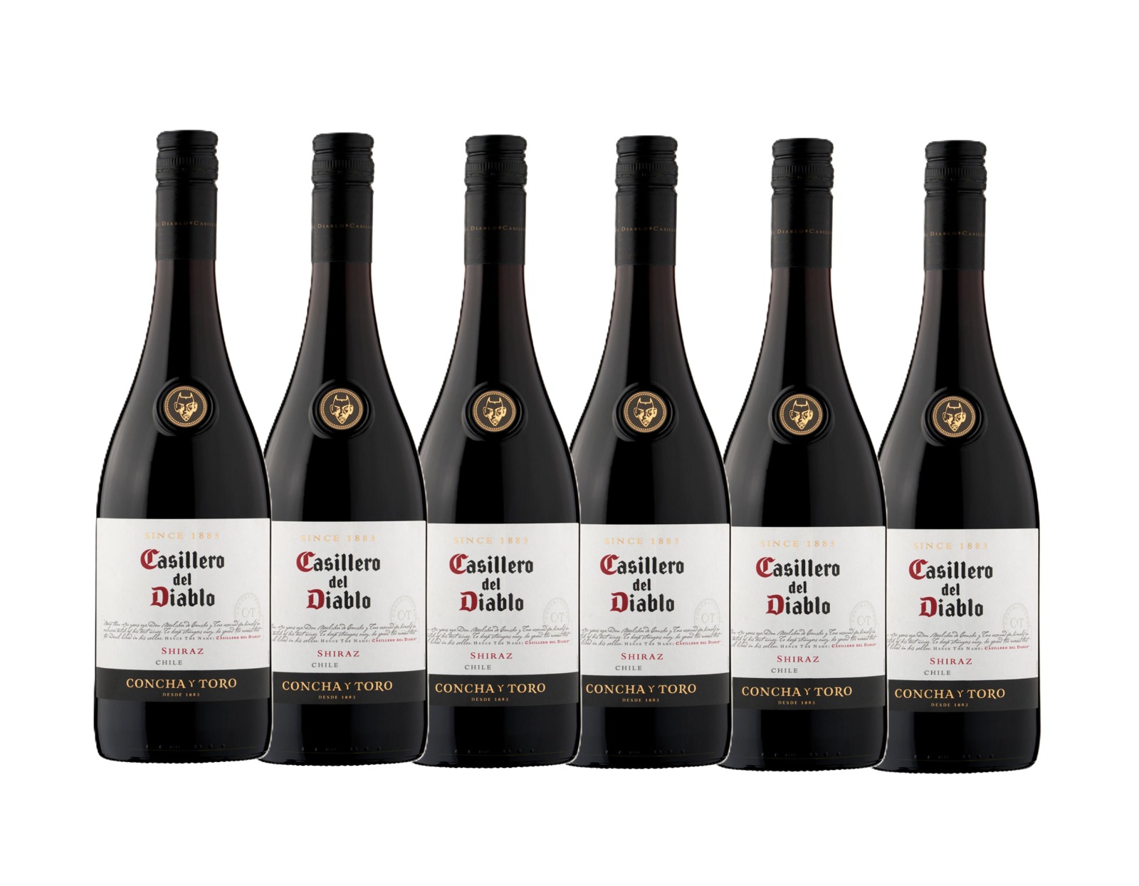 CASILLERO DIABLO SHIRAZ 6X75CL